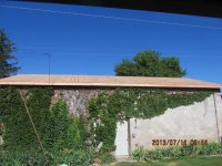 IMG_0934.JPG