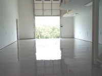 Floorshinesg.jpg