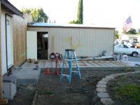 Garage from tree.jpg
