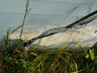 DSCN2845.jpg