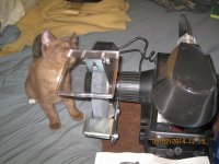 IMG_0358.JPG