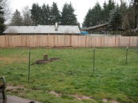 yard before.jpg