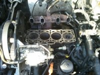 vw diesel resized.jpg
