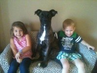 Bella and the kids.jpg