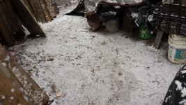 Back Back Yard Looking Toward Street.jpg