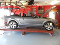 MUSTANG GT 005.jpg
