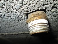 IMG_0827.jpg