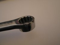 IMG_7313.jpg