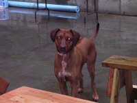 DSCN1718.jpg