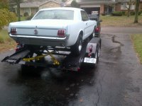 mustang%204[1].jpg