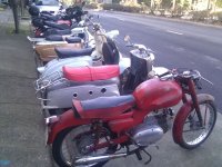 IMG_20110115_135149.jpg