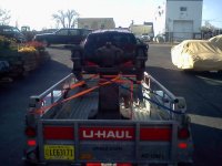 downsized_1115141403.jpg
