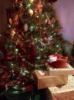 IMG_20141224_161553.jpg