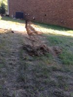 IMG_1594 (480x640).jpg
