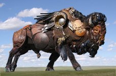 Buffalo.jpg