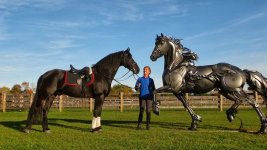 shiny horse2.jpg