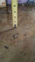 IMG_20141015_111657435.jpg