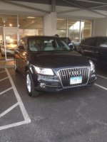 Tammy's Q5.jpg