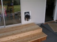 Pet Door 1.JPG