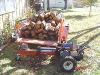 Splitting Last Winter's Wood (7).jpg