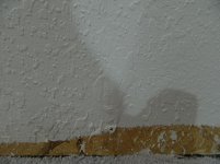 DSCN1250.jpg
