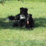 ImageUploadedByTapatalk1419024860.644281.jpg ImageUploadedByTapatalk1419024860.644281.jpg