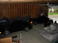 IMG_7782.jpg