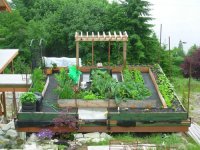 Roof garden.jpg
