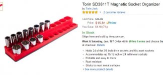 torin.JPG