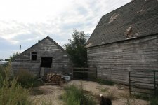 IMG_2763.jpg