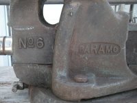 Paramo closeup.JPG