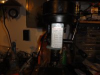DSC01822.jpg