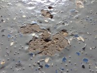 photo 3.JPG