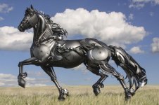shiny horse.jpg