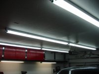 Lights2.jpg
