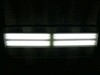 t-8's with phillips nat sunshine bulbs.JPG
