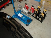 jack.jpg