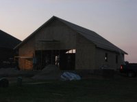 roofed3.jpg