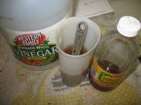 stanley vinegar apple.JPG