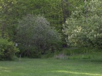 DSCN1581.jpg