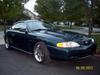 stang pix 003.jpg