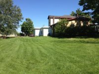 backyard1.jpg