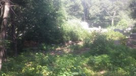 20140619_161306.jpg