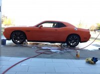 IMG_1225.jpg