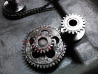 1StGear1tooth.jpg 1StGear1tooth.jpg