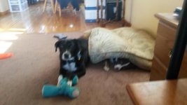 20140905_084324.jpg