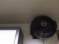 IMG_4683.jpg