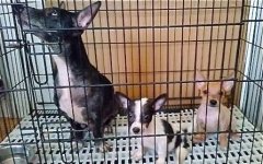 Charlie and family.jpg