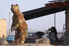 bear.jpg