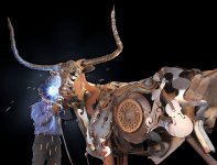 bull4.jpg